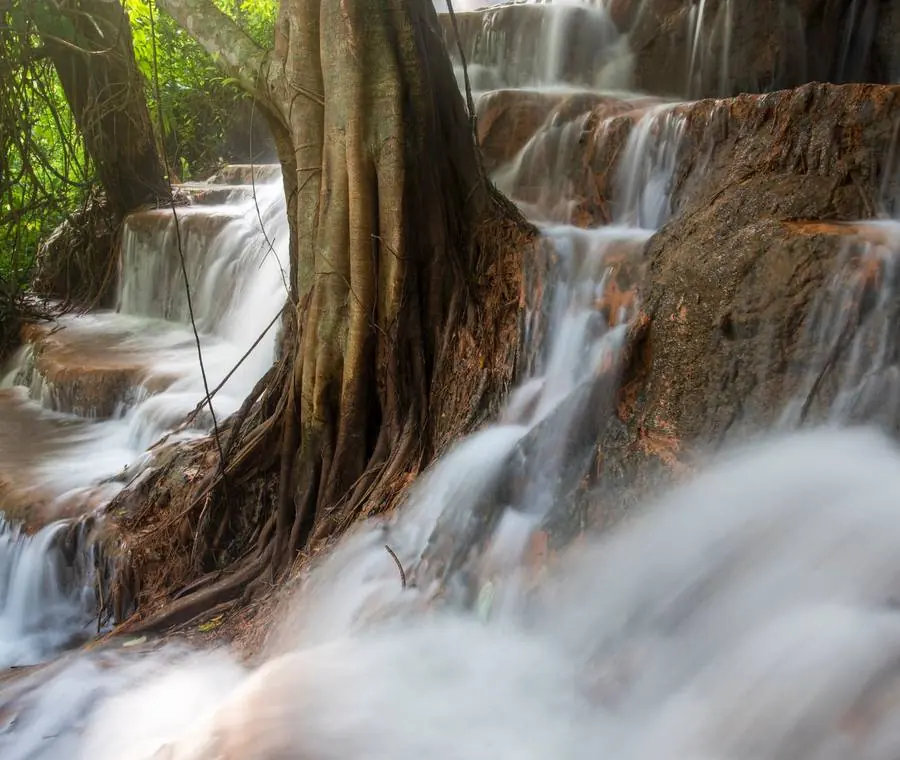 Bua Thong Sticky Waterfalls, northern Thailand