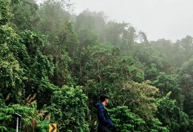 Doi Suthep-Pui National Park, northern Thailand
