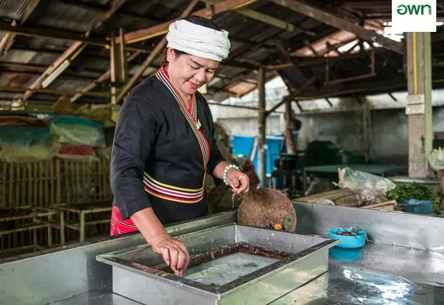Rice paper making, northern Thailand
