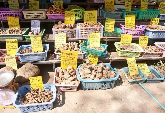 Chiang Dao morning market, northern Thailand